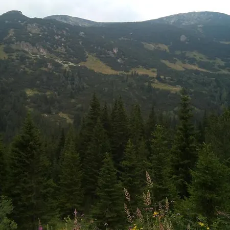 بيت ضيافة Ahp